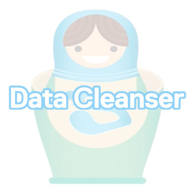 Data Cleanser partner logo