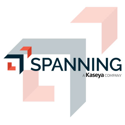 Spanning partner logo
