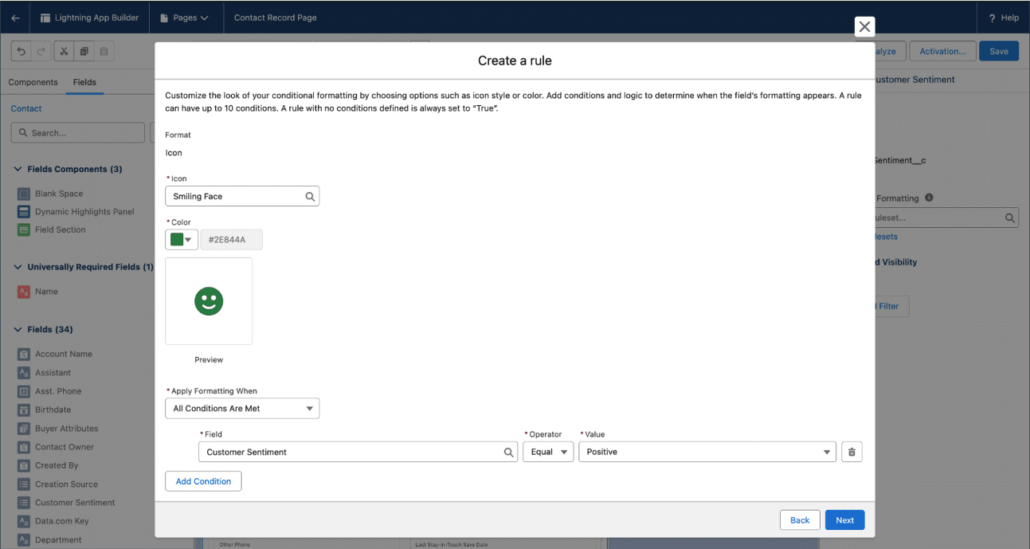 Salesforce Winter 25 Release - Conditional Field Formatting image