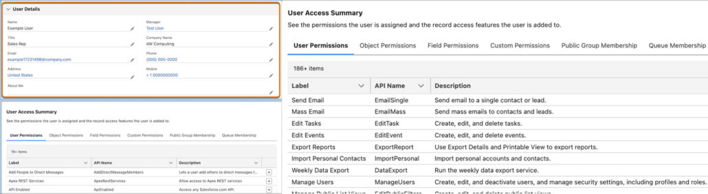 Salesforce Winter 25 Release - User Permissions image