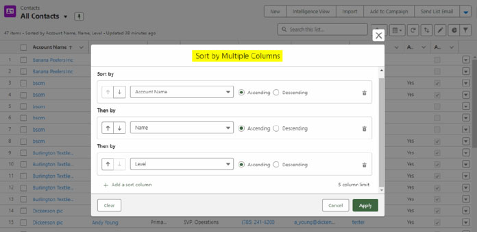 MultiColumn List View