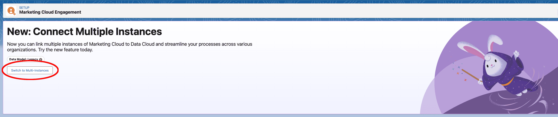 Image pointing out the "Switch to Multi-Instances"